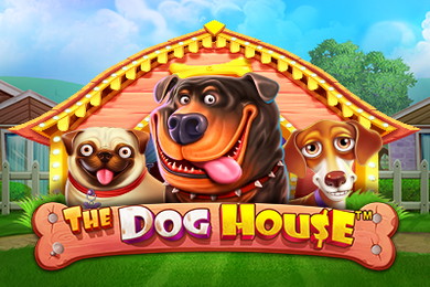 The Dog House онлайн Старда